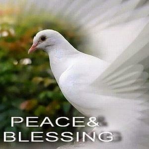 Meet your Posher, Krystal